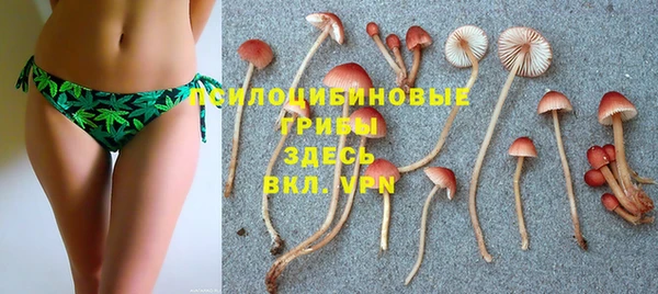 PSILOCYBIN Пролетарск