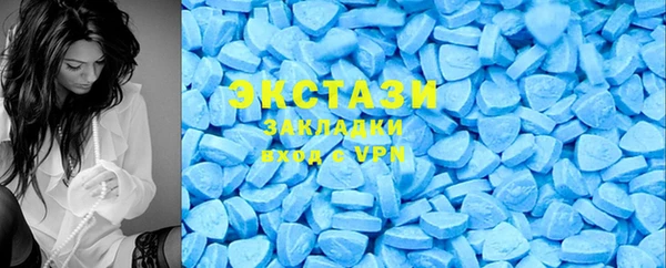 твердый Аркадак