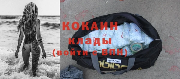 твердый Аркадак